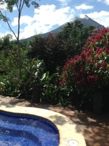 20131116-044214 p.m..jpg